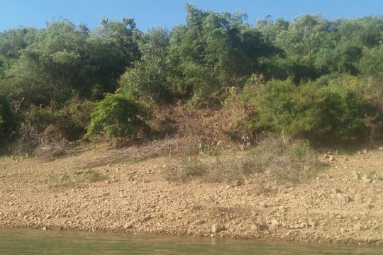 Sắp xét xử nguyên Bí thư Huyện ủy Vĩnh Thạnh