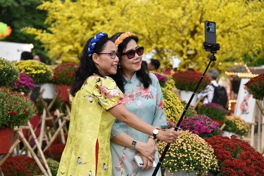 Đến Phố ông Đồ, đường mai vàng TP.HCM chụp hình Tết