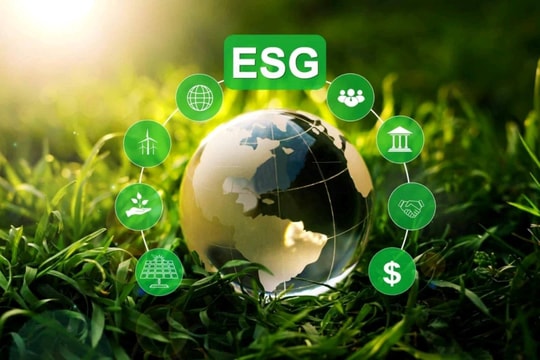 ESG - Chìa khóa quan trọng để doanh nghiệp phát triển bền vững