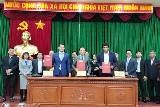 Những doanh nghiệp lớn về bất động sản, siêu du thuyền muốn đầu tư tại Bình Định