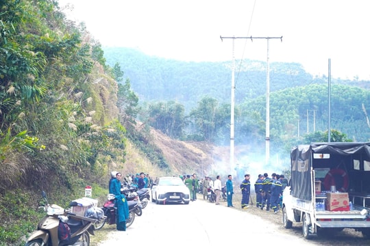 Tuyên Quang: Cháy rừng tại phường Nông Tiến