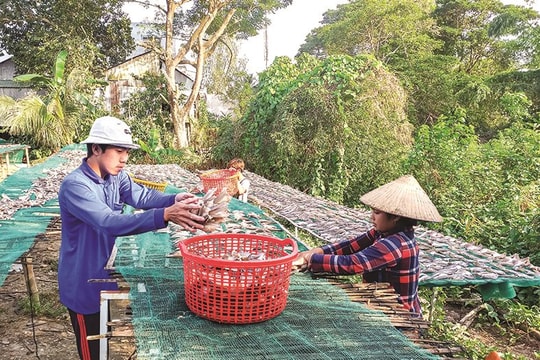 Nhộn nhịp mùa Tết ở làng khô Phú Thọ