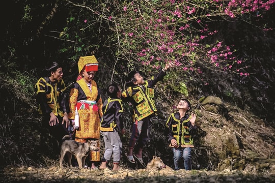 Mải miết với mùa xuân Tây Bắc