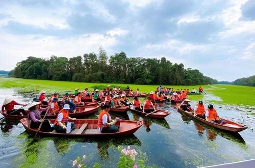 Bức tranh tuyệt vời mang tên Đồng Tháp Mười