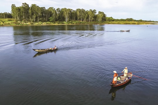 Ngược dòng Thu Bồn ngày xuân