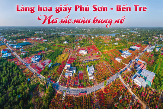 Làng hoa giấy Phú Sơn - Bến Tre: Nơi sắc màu bung nở