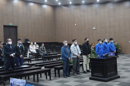 Cựu Bộ trưởng Mai Tiến Dũng được hưởng án treo