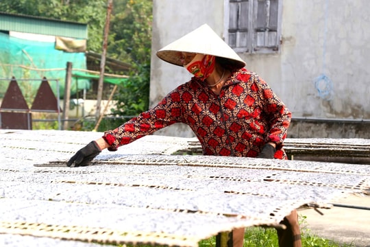 Sắc Xuân về trong từng chiếc bánh