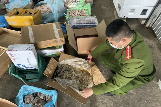 Thu giữ 1,8 tấn thực phẩm đông lạnh không rõ nguồn gốc