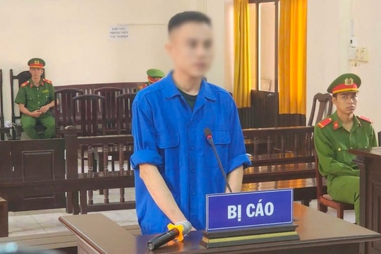 Tham ô tài sản, cựu nhân viên công ty giao hàng lãnh 12 năm tù
