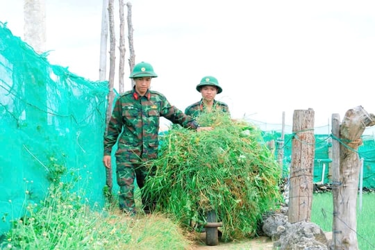 Thấm đượm tình quân dân trên quê hương Hải đội Hoàng Sa