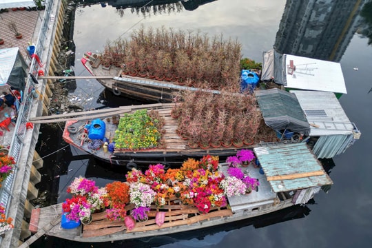 Nhộn nhịp chợ hoa 'Trên bến dưới thuyền' trước ngày khai mạc