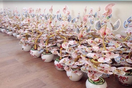 Bán cây tài lộc trang trí bằng tiền thật có vi phạm không?