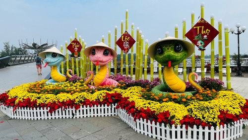 Cần Thơ: Nhộn nhịp chợ hoa Xuân