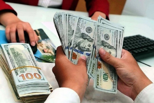 Tỷ giá USD ngày 24/1: Tiếp tục giảm