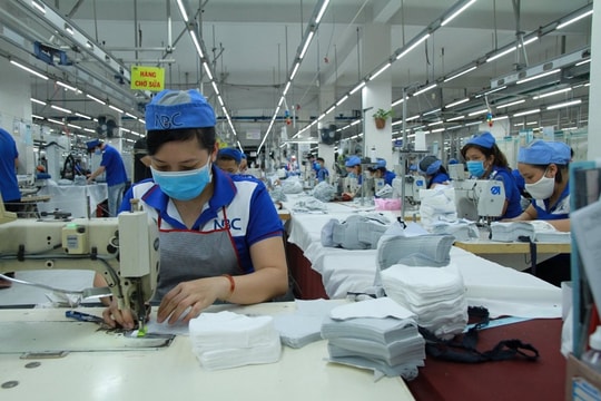 Được trả lương thế nào nếu đi làm trong ngày nghỉ Tết?