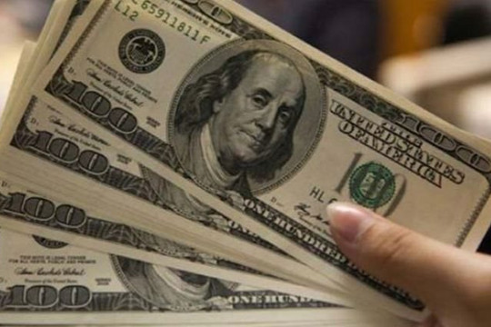 Tỷ giá USD ngày 26/1: Đồng USD tiếp tục phiên giảm sâu