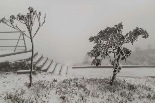 Sa Pa và Hà Giang xuất hiện tuyết rơi