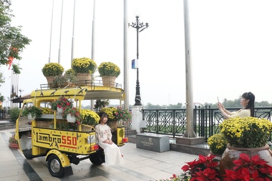 Bình Dương: Sắc xuân ngập tràn Đường hoa Bạch Đằng