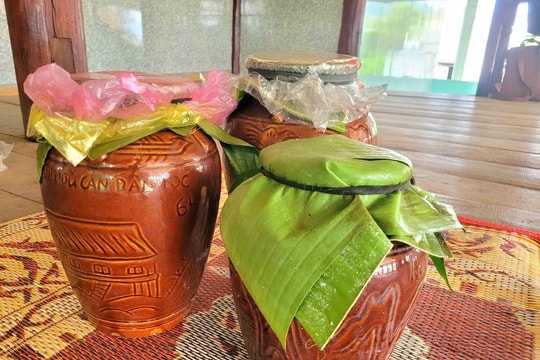 Bí quyết ủ rượu cần cực ngon của phụ nữ Gia Rai dùng thiết đãi khách dịp Tết