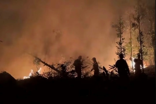 Hải Phòng: Cháy lớn tại 2 khu rừng vào đêm giao thừa