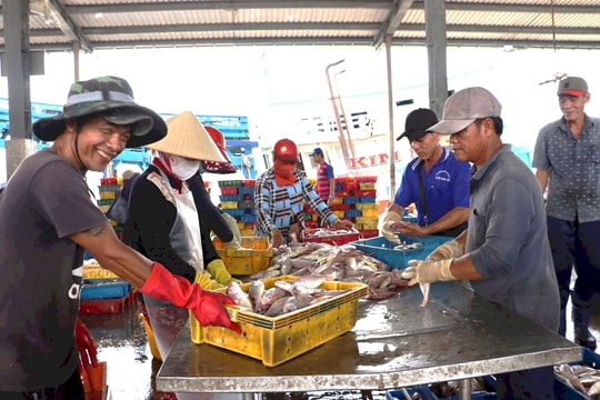 Ngư dân phấn khởi trong chuyến đi biển đầu năm bội thu