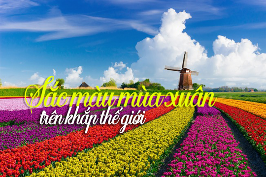 Sắc màu mùa xuân trên khắp thế giới
