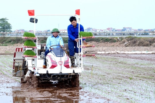 Lãnh đạo tỉnh Vĩnh Phúc xuống đồng động viên nông dân sản xuất