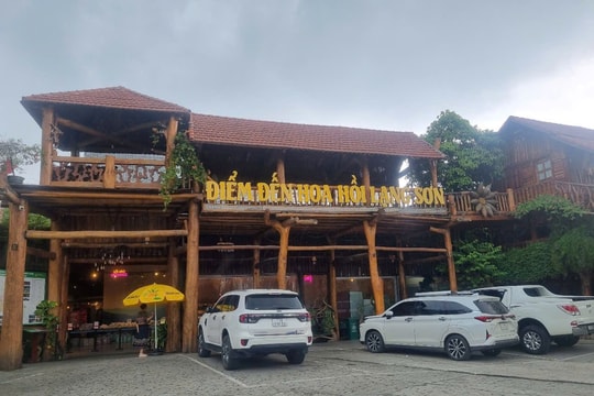 Lạng Sơn: Người phụ nữ vượt khó, đưa hoa hồi vươn tầm quốc tế