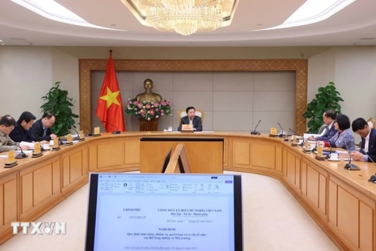 Rà soát kỹ lĩnh vực quản lý của Bộ Nông nghiệp và Môi trường