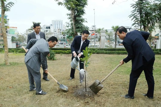 Quảng Ninh trồng hàng nghìn cây xanh hưởng ứng Tết trồng cây “Đời đời nhớ ơn Bác Hồ”