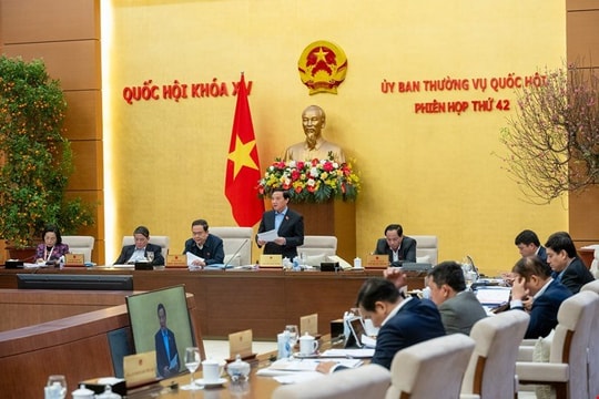 Chịu trách nhiệm đến cùng với dự án luật
