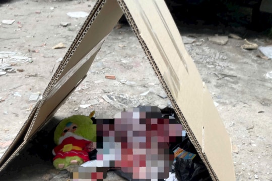 Thi thể trẻ sơ sinh được phát hiện trong bãi đất ở TP.HCM