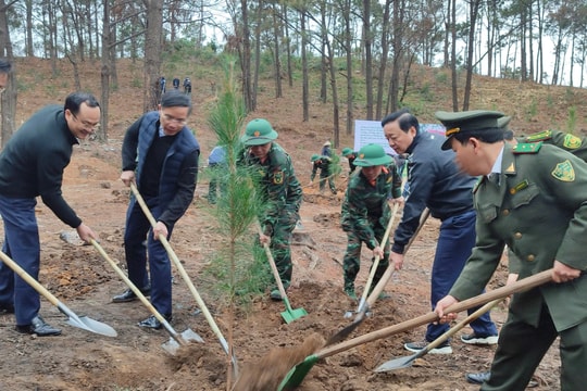 Phó Thủ tướng Trần Hồng Hà phát động Tết trồng cây, khôi phục rừng sau bão tại Quảng Ninh
