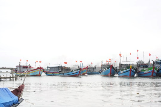 Lễ xuất quân đánh cá vụ Nam năm 2025 tại Huế