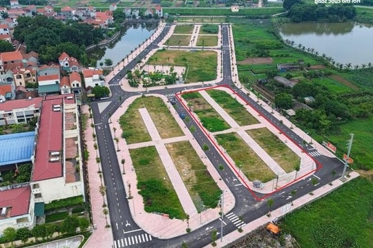 Đất nền năm 2025: Tiếp tục "thắng lớn"?