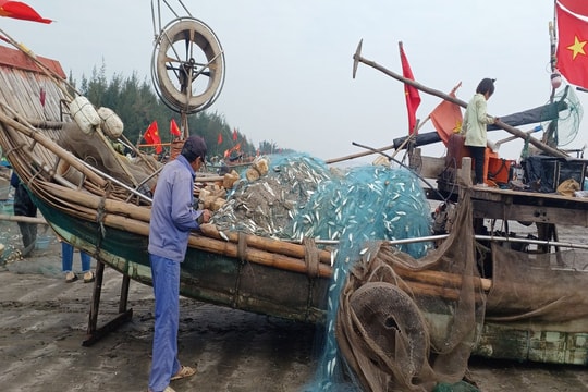 Nghệ An: Ngư dân phấn khởi được “lộc biển” đầu năm