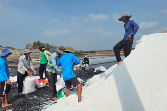 Festival nghề Muối góp phần nâng cao giá trị hạt muối Việt