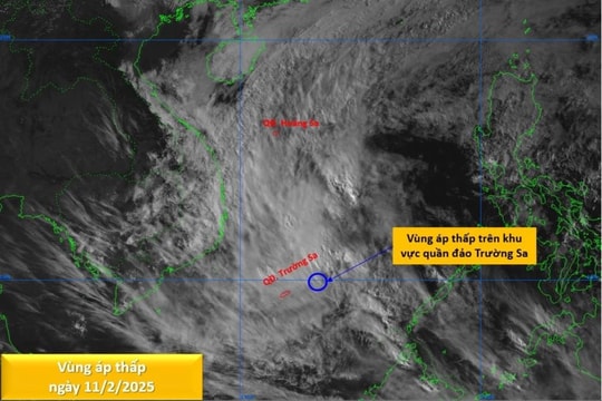 Chủ động ứng phó với vùng áp thấp có khả năng mạnh lên thành áp thấp nhiệt đới