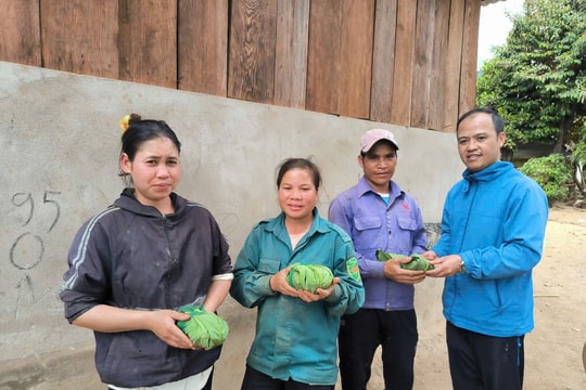 Cấp giống sâm Ngọc Linh giúp dân thoát nghèo