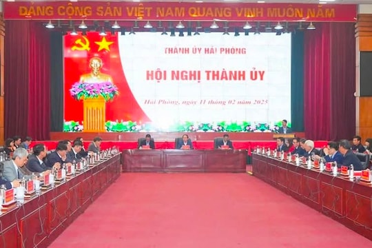 2 Ủy viên Thường vụ, 1 Phó Chủ tịch TP. Hải Phòng xin nghỉ hưu trước tuổi