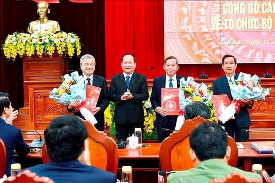 Gia Lai: Trưởng Ban Tuyên giáo Tỉnh ủy và 2 cán bộ nghỉ hưu trước tuổi
