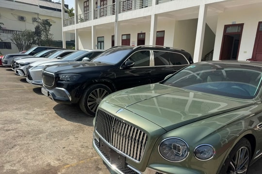 Đánh sập sàn chứng khoán Fnory.com lừa đảo hơn 200 tỷ đồng