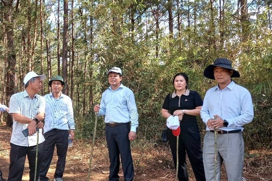 Khảo sát, định hướng nâng tầm du lịch “vùng đất sâm”