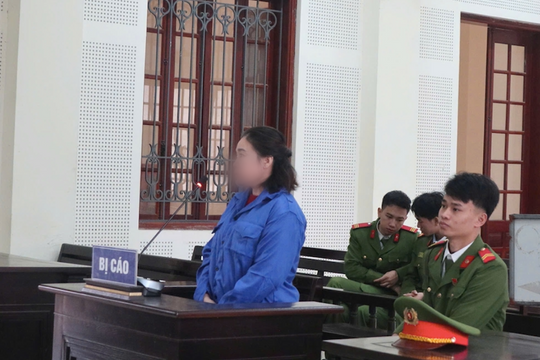 Lén giấu ma túy trong vườn rau hàng xóm