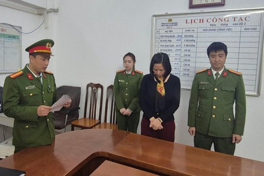 Một phụ nữ bị khởi tố vì làm giả báo cáo đánh giá tác động môi trường