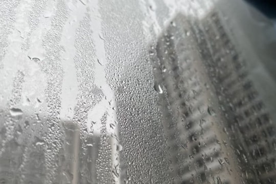 Thời tiết từ 17 đến 23/2: Miền Bắc ấm dần, độ ẩm trung bình trên 80%