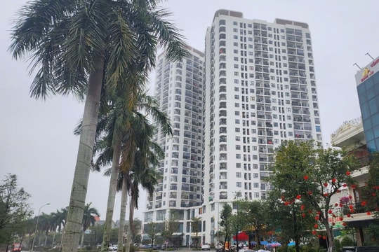 Chủ đầu tư Chung cư Tecco Center Point bị xử phạt 538 triệu đồng