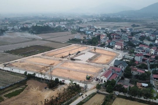 Sóc Sơn đấu giá lại lô đất từng được trả 30 tỷ đồng/m²