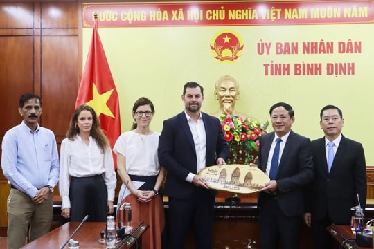 Bình Định làm việc với nhà đầu tư muốn làm dự án hơn 1 tỷ USD